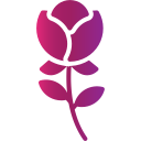 rosa icon