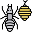formigas 