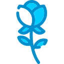 rosa icon