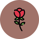 rosa icon