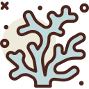 Коралловый 