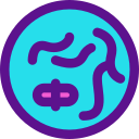 Cromosoma icon