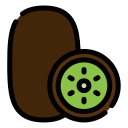 kiwi icon