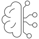 anatomía del cerebro 