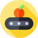 Transportadora icon