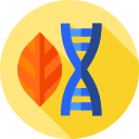 Dna icon