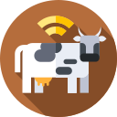 Vaca icon