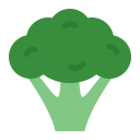 brócoli icon