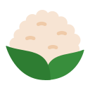 coliflor icon