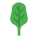 espinaca icon