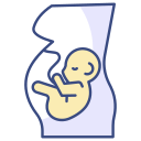 obstetricia icon