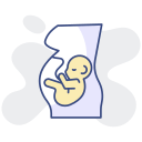 obstetricia icon