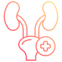 urología icon