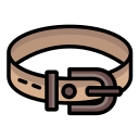 cintos icon