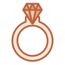 anillo icon