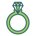 anillo icon