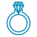 anillo icon