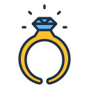anillo icon
