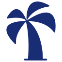 palmera icon