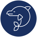 delfinario icon