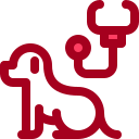 Animal check up icon