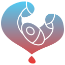 naissance 