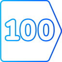 100 icon