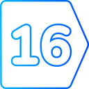 16 icon