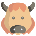 bisonte 