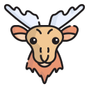 wapiti 
