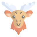 wapiti 