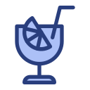 mojito icon