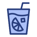 mojito icon