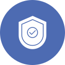 seguridad icon