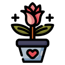 rosa icon