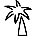 doodle de palmeira 
