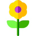 Florecer icon