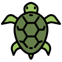 tortuga icon