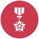 medalla del ejército icon