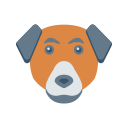 hund 