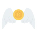 Bitcoin icon