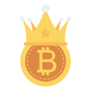 Bitcoin icon