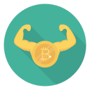 Bitcoin icon