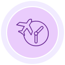 estado del vuelo icon