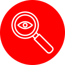 observación icon