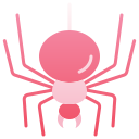 araña icon