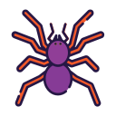 araña icon