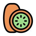 kiwi icon