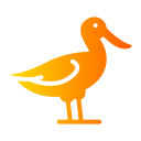 avoceta icon