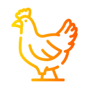 gallina icon